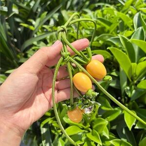 Tomato Branch Charm in Leather